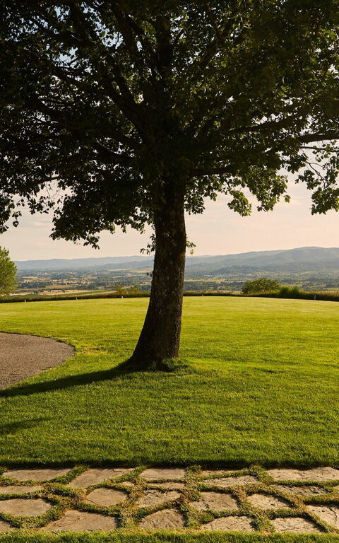 Villa Agazzi: Have, Visninger