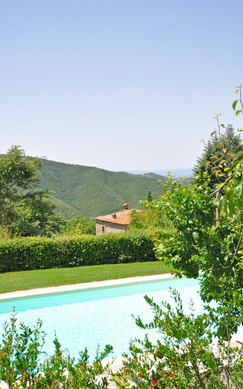 Villa Dame: pool