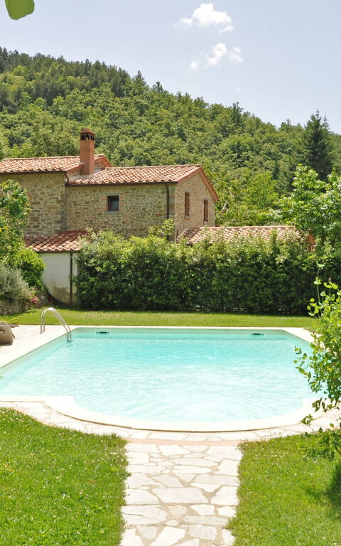 Villa Dame: pool