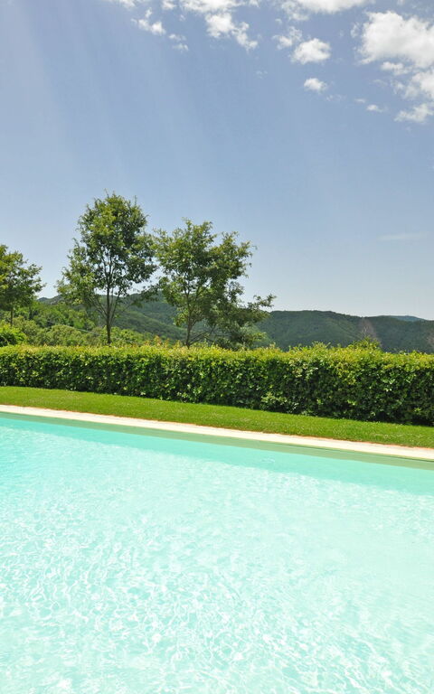 Villa Dame: pool