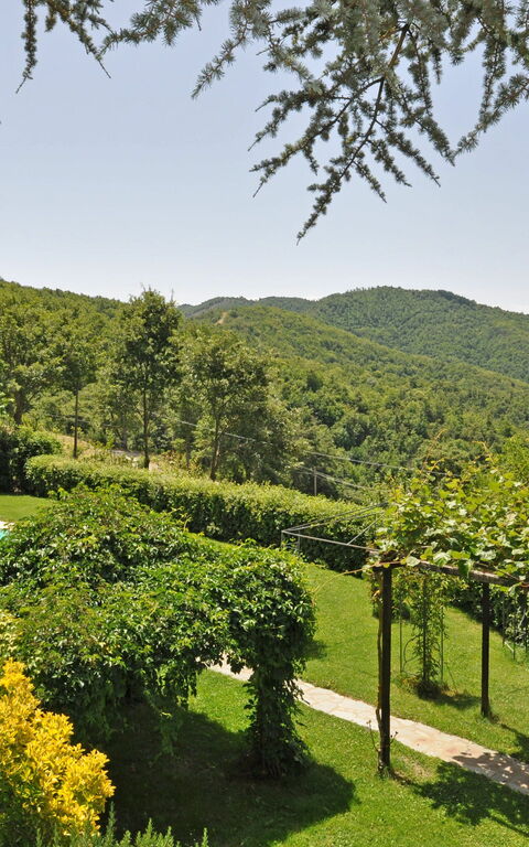 Villa Dame: Have, pool