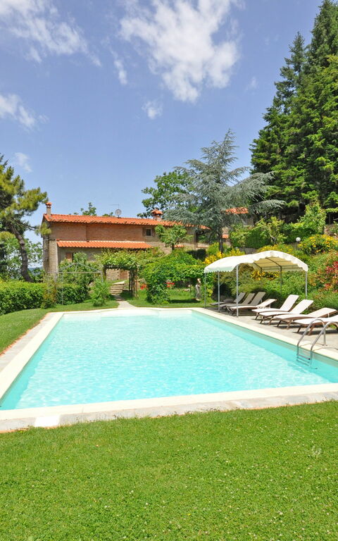 Villa Dame: pool