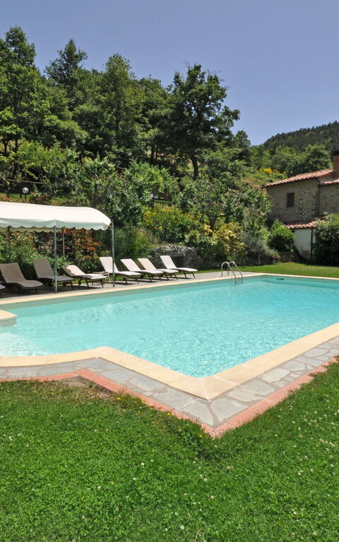 Villa Dame: pool