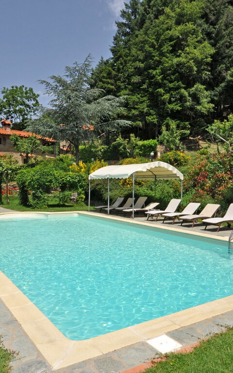 Villa Dame: pool