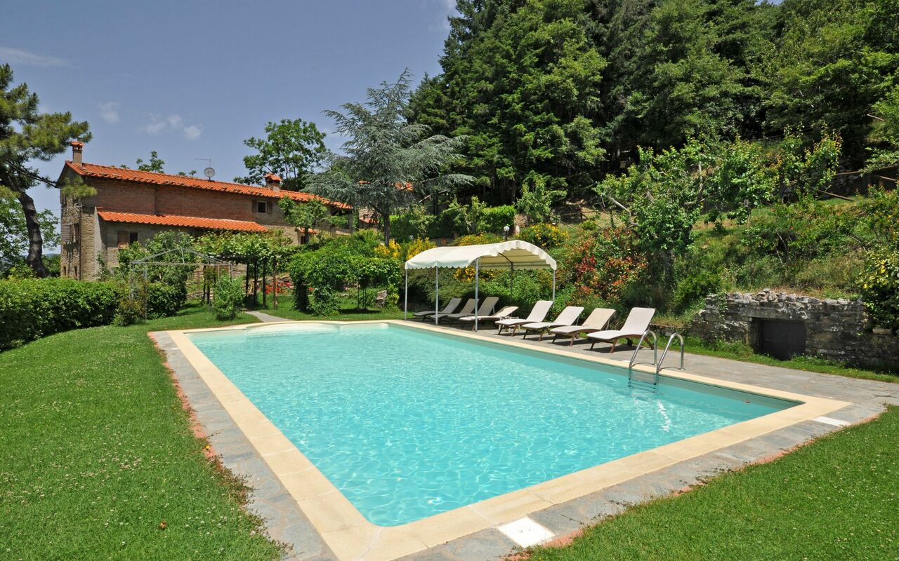 Villa Dame: pool