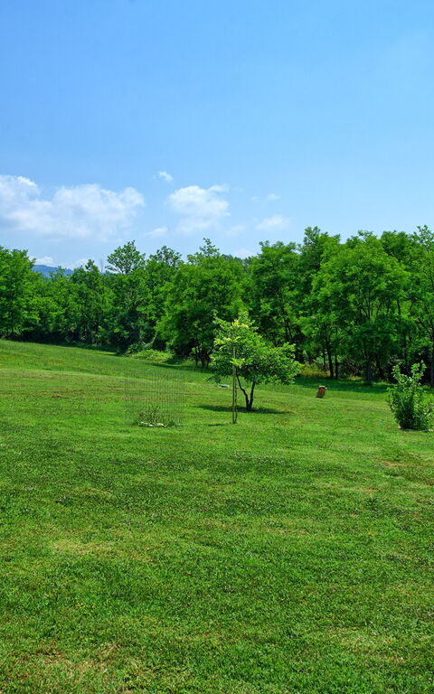 Casa Ovile: Have, Visninger