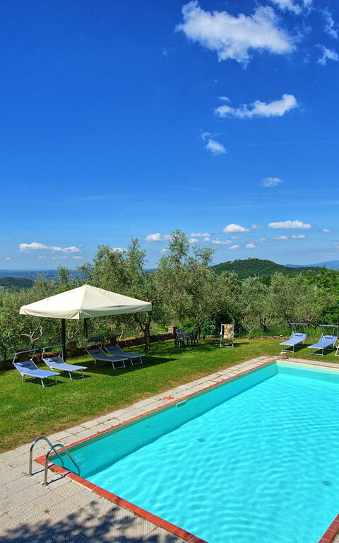 Panzalla: Have, pool