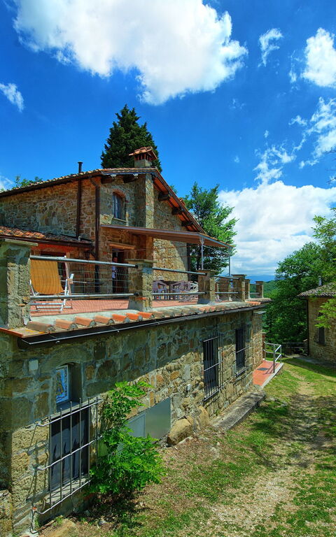 Panzalla: Have, Udvendige