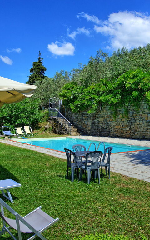 Panzalla: Have, pool