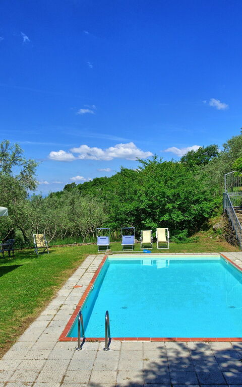 Panzalla: Have, pool