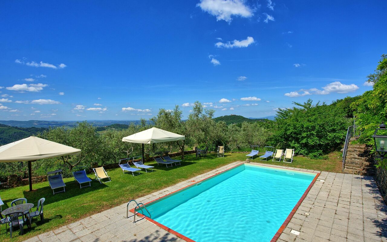 Panzalla: Have, pool