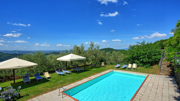 Panzalla: Have, pool