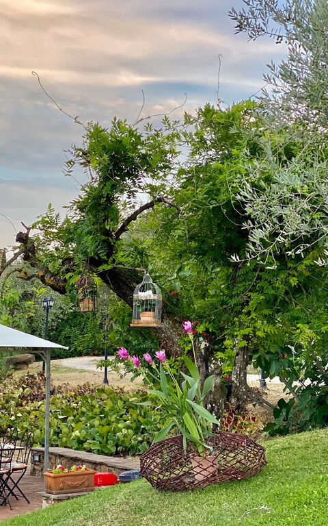 Villa Ulivi: Have, Udendørs, Visninger