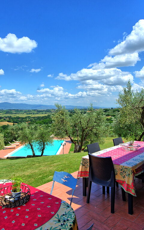 Villa Ulivi: Have, pool, Udendørs, Visninger