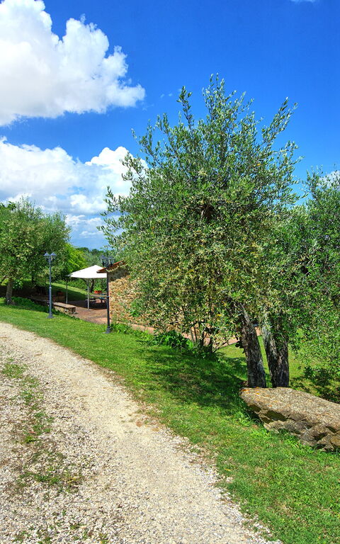 Villa Ulivi: Have, Udendørs, Udvendige