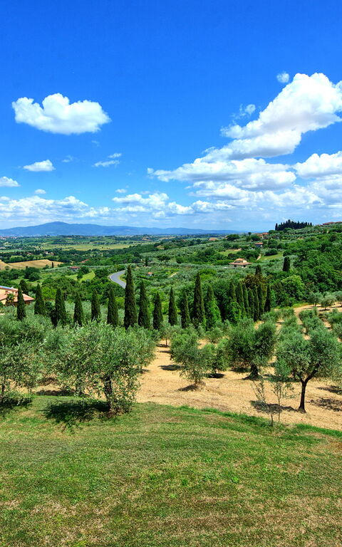 Villa Ulivi: Sommer, Udendørs, Visninger