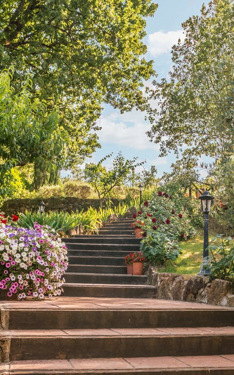 Torre Del Cielo: Have