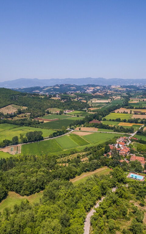 Torre Del Cielo: Have