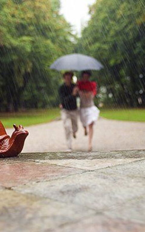 Ca' Marcello: Have, Udendørs