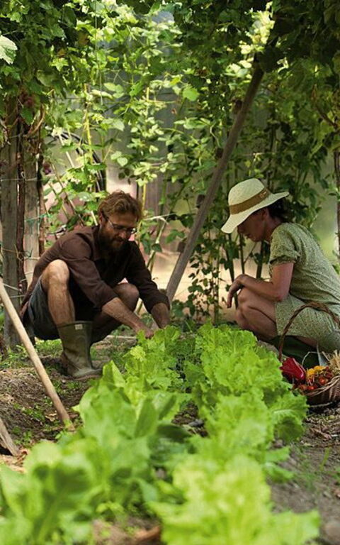 Ca' Marcello: Udendørs