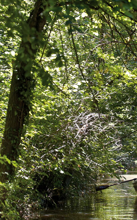 Ca' Marcello: Udendørs