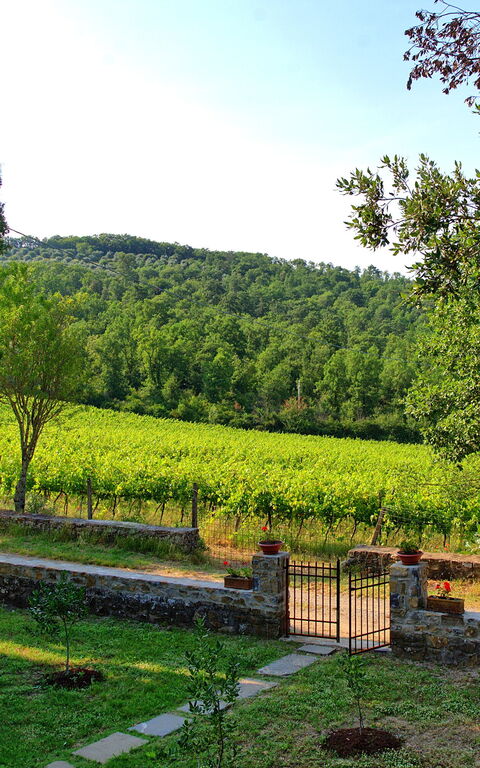 Casavecchia: Visninger