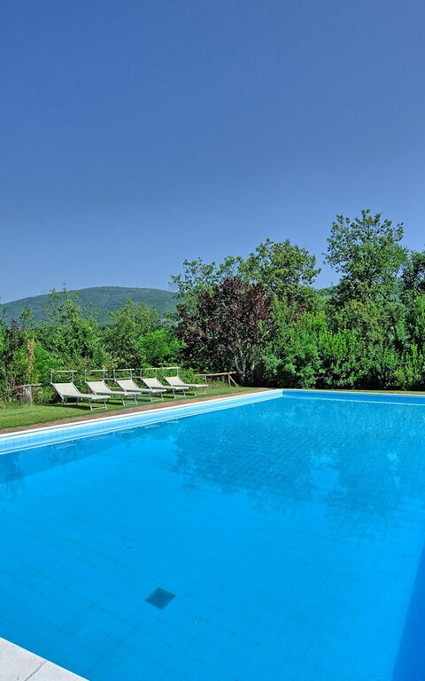 Villa Poggetta: pool