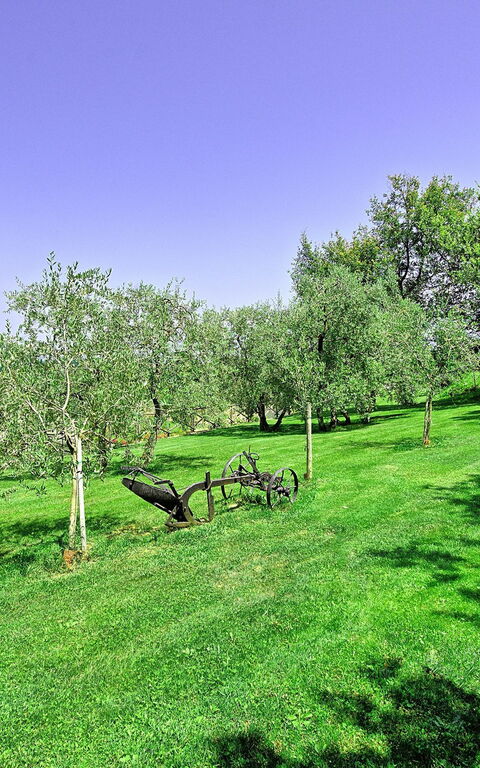 Villa Poggetta: Have