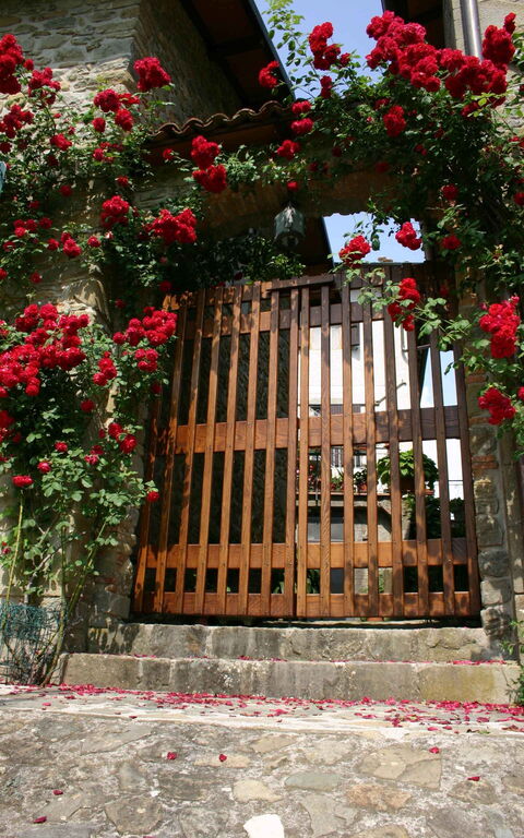 Il Palazzetto: Udendørs