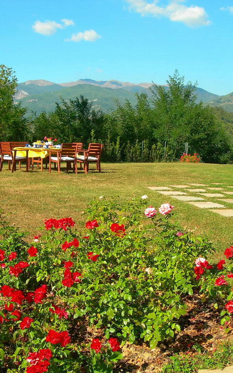 Villa Saida: Have, Udendørs