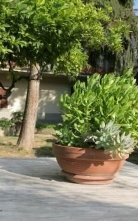 ***villa Contea: Have, Udendørs