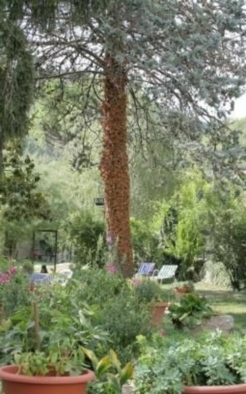 ***villa Contea: Have, Udendørs