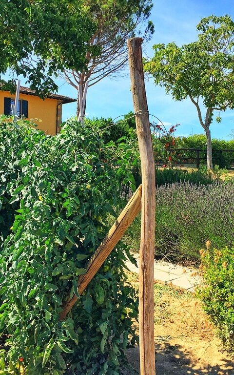 Podere Sant'angelo: Have