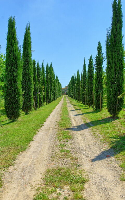 Villa Giare: Visninger