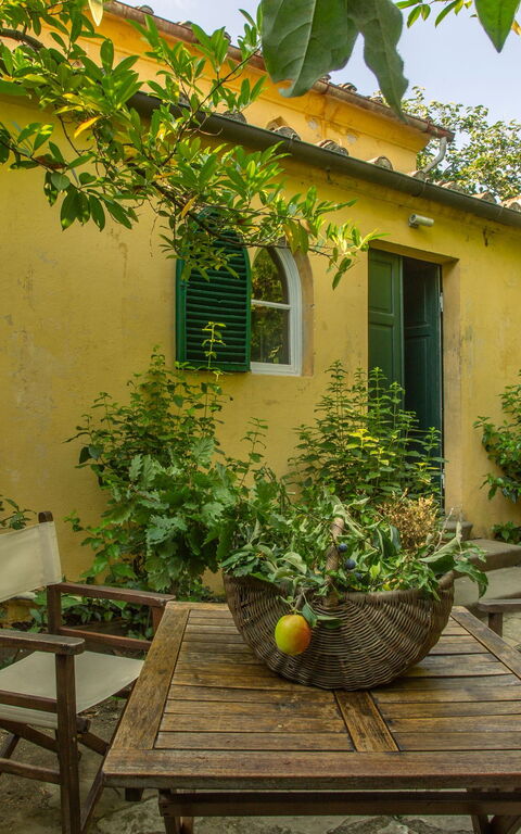 Villa Pedone: Have, Udendørs