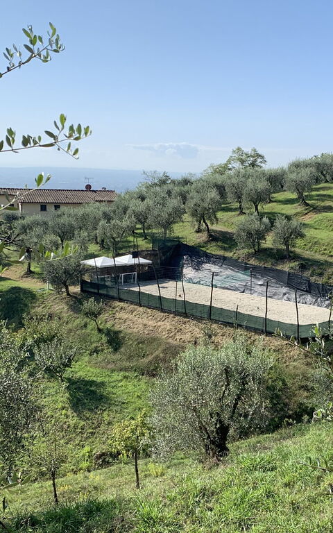 Villa Le Ferrette: Udendørs