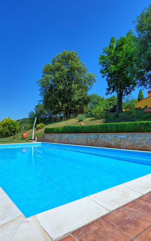 Villa Crispinino: pool