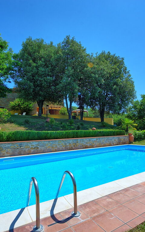 Villa Crispinino: pool