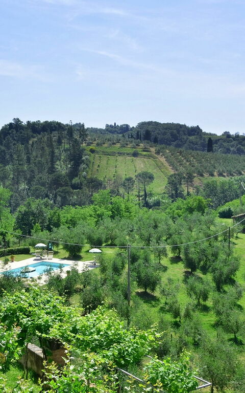 Villa Buonaparte: Have