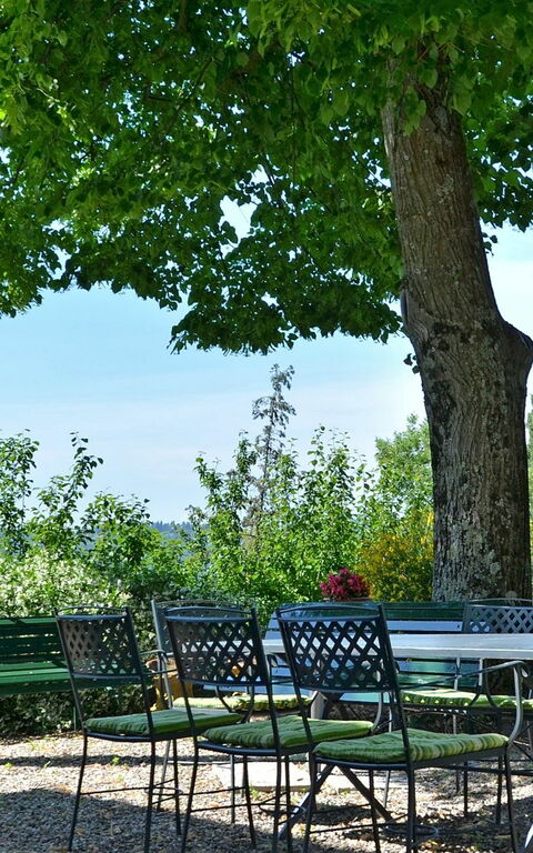 Villa Buonaparte: Have