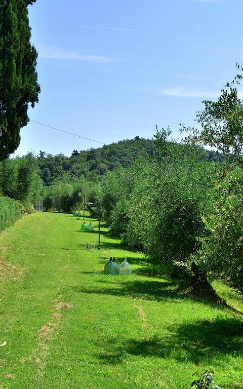 Villa Buonaparte: Have