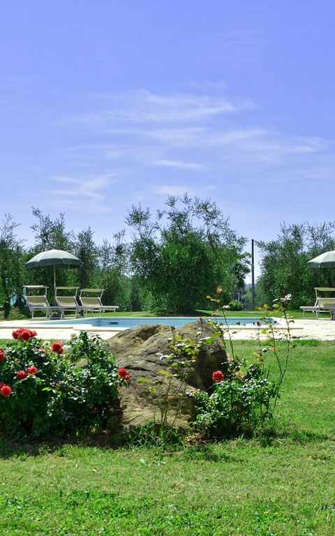 Villa Buonaparte: Have