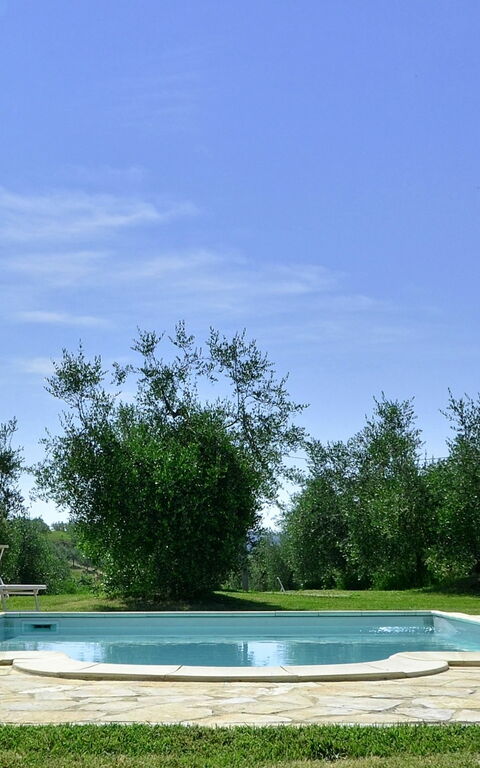 Villa Buonaparte: pool