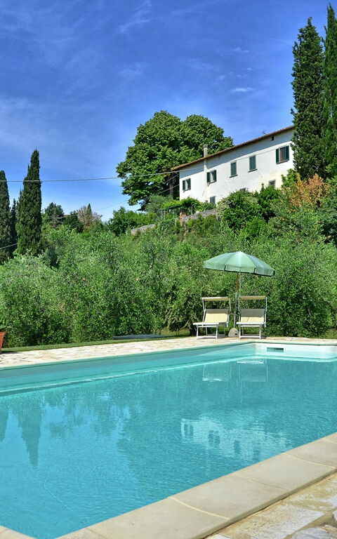 Villa Buonaparte: Have, pool