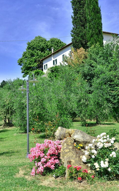 Villa Buonaparte: Have
