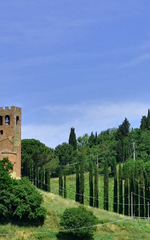 Villa Buonaparte: Have