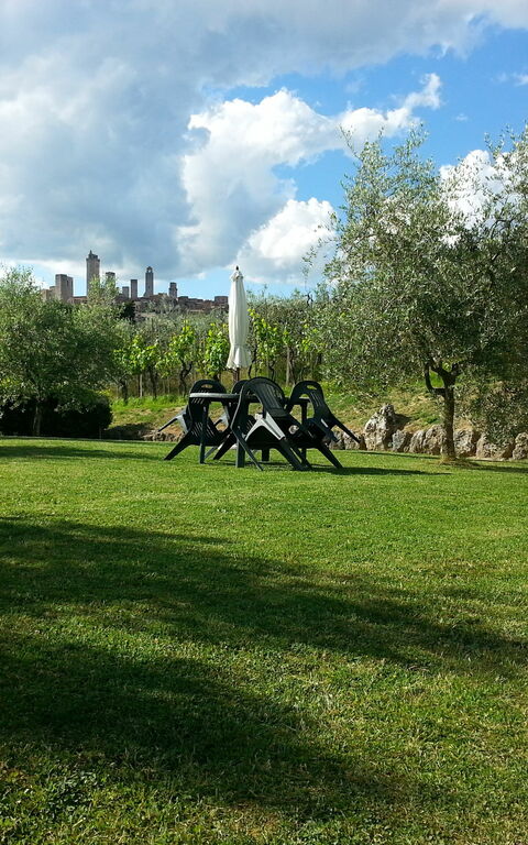 Podere Degli Olivi: Have