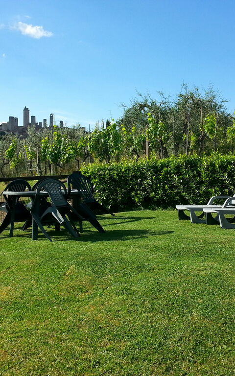 Podere Degli Olivi: Have, Udendørs