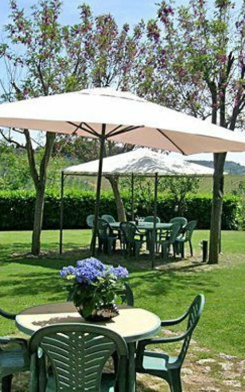 Podere Degli Olivi: Have