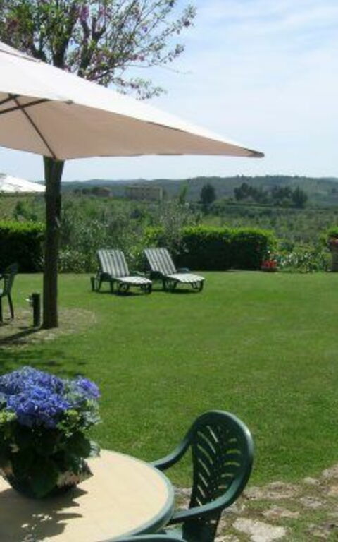 Podere Degli Olivi: Have